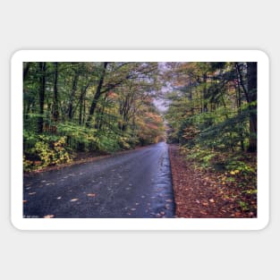 Road Through Autumn Sticker